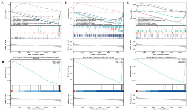 The GSEA analysis of SLC39A8-correlated DEGs between PH and NC.