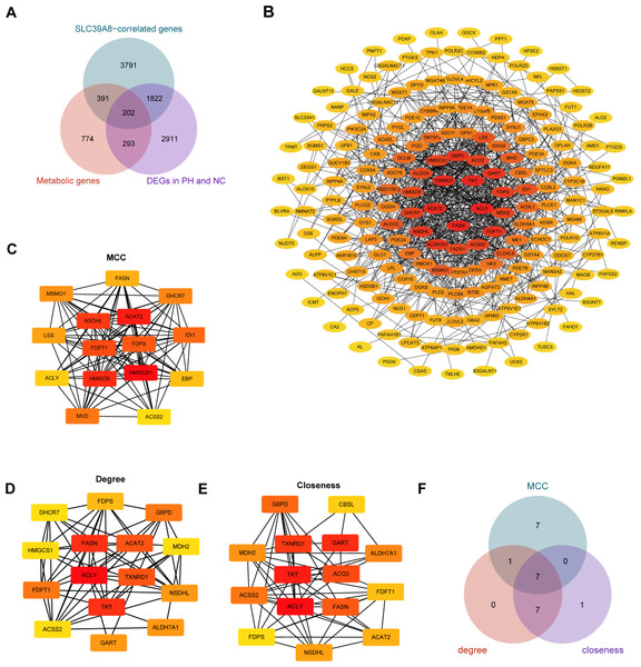 Identification of hub genes SLC39A8-correlated metabolic DEGS between PH and NC.