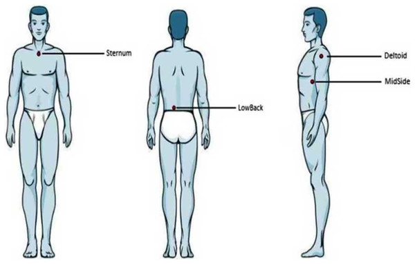 Anatomical locations.