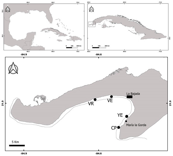 Map of Guanahacabibes peninsula with the sampling sites.