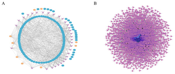  RNAs interaction networks.