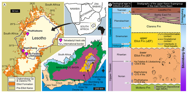 Geological context of the studied large tetradactyl track sites in Lesotho.