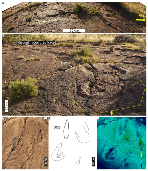 Linear drag trace (DM5) at Ha Falatsa track site.