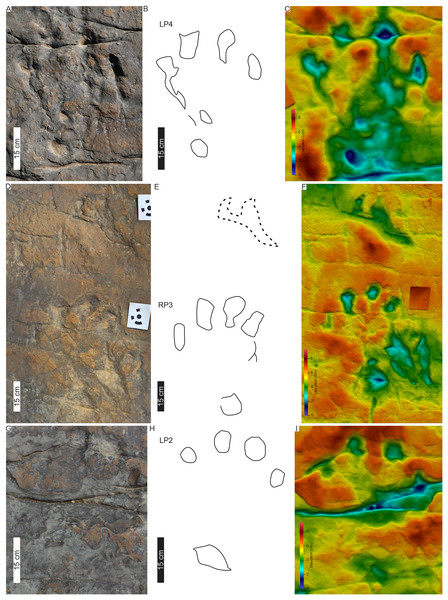 PT3 pes tracks.