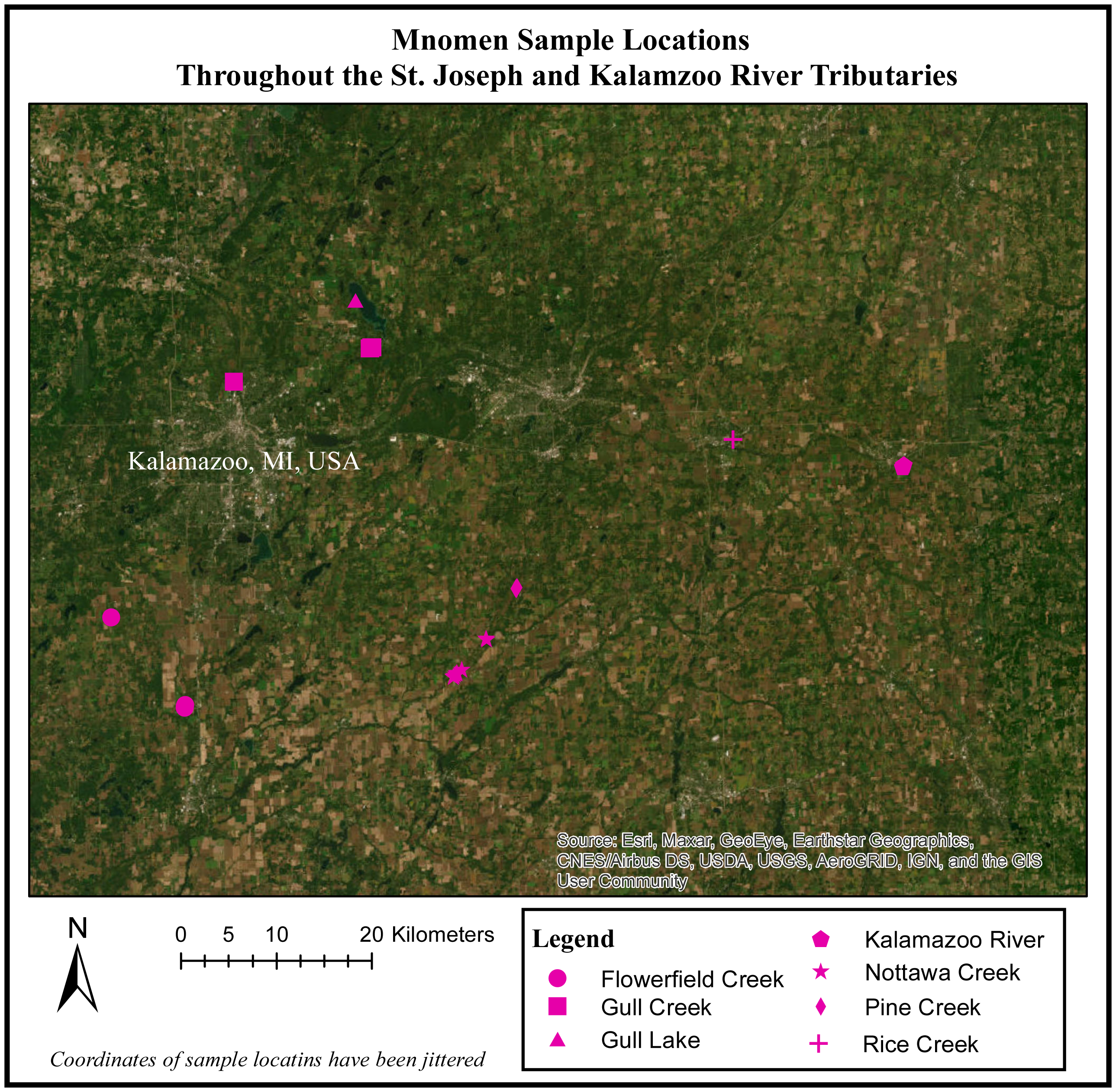 Genetic analysis of two species of Mnomen in the Kalamazoo