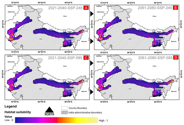 The habitat suitability for G. hamiltonii in future climatic projection scenarios of ssp245 and ssp585 future scenarios for the year 2021–2040 and 2061–2080.