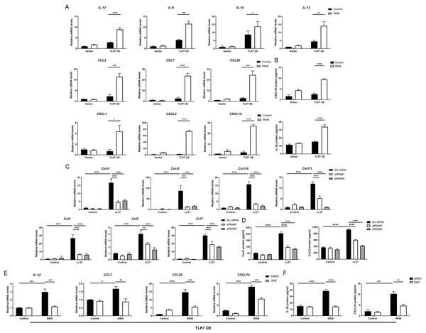 Hyperactivated TLR7 promotes rosacea-characteristic cytokine and chemokine production via NFκB signaling in keratinocytes.