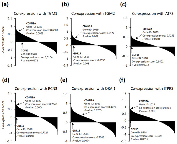 (A–F) SEEK co-expression analysis of the six genes with senescence markers CDKN2A and GDF15.