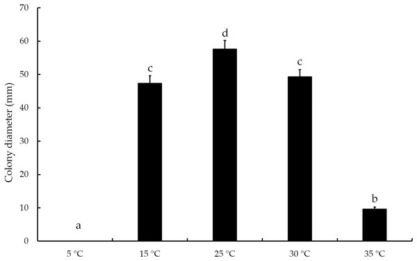 The diameters of T. virens strain YZB-1 at different temperatures.
