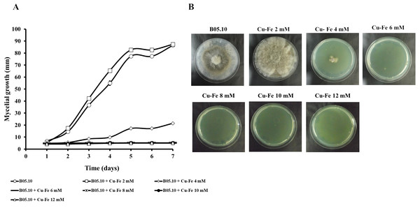 Effect of Cu–Fe equimolar mixture on the growth of B. cinerea in solid media.