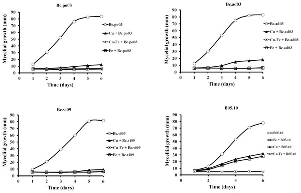 Effect of Fe50(9.08 mM), Cu50(2.87 mM), and Cu50–Fe50 on mycelial growth of different wild strains of B. cinerea.