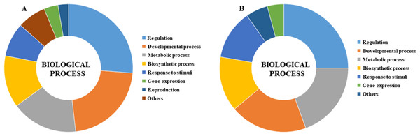 Gene ontology biological process results of CmLBD genes by Blast2Go program (A) CmLBD genes in biological processes level in different tissue melon, (B) CmLBD genes in biological processes at different developmental stages in melon.