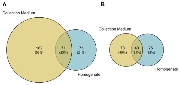 Taxonomic composition (number of MOTUs) of arthropod communities recovered from both homogenate and collection medium metabarcoding of Malaise trap samples.