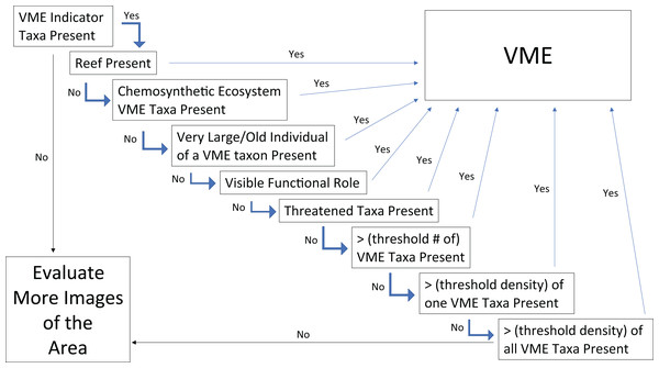 Flow chart for determining whether the faunal community in a single frame or image represents a VME.