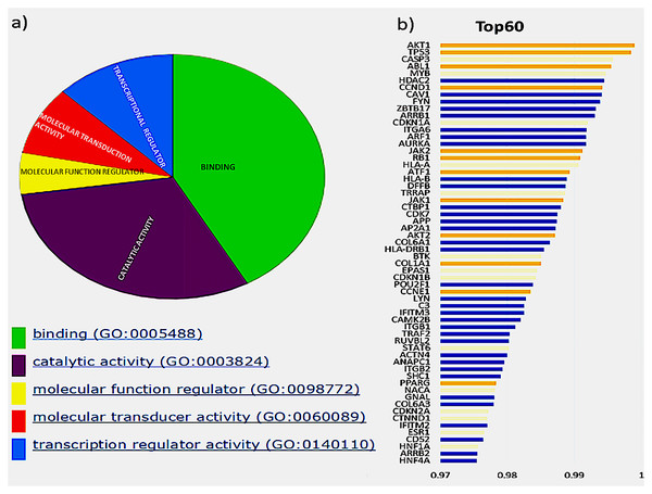 Top 60 cancer driver genes and their annotation.