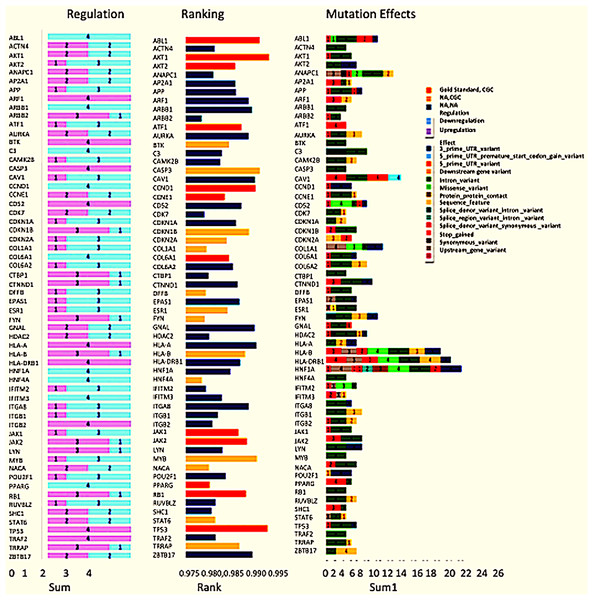 Expression and mutation status of the top 60 driver genes in breast cancer.