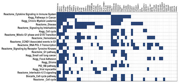 Gene overlap matrix for top 20 pathways reported in KEGG, reactome, biocarta, and PID.