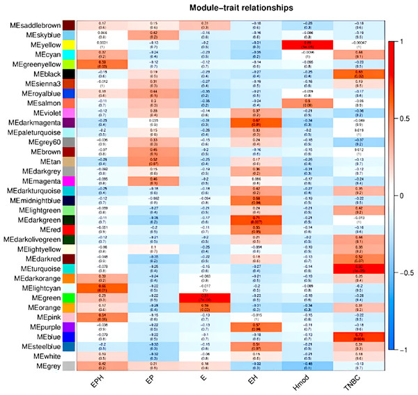 Module trait relationships obtained by weighted gene co-expression network analysis.