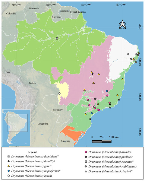 Distribution map showing the biomes occupied by species of Drymaeus, subgenus Mesembrinus, in Brazil.