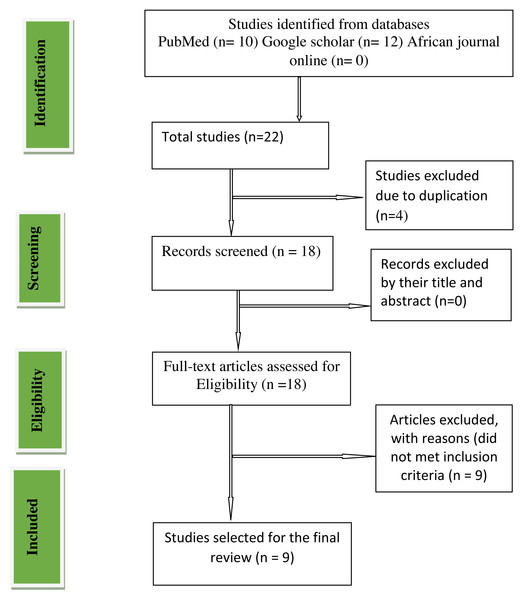 Preferred reporting items for systematic reviews and meta-analyses (PRISMA) flow chart.