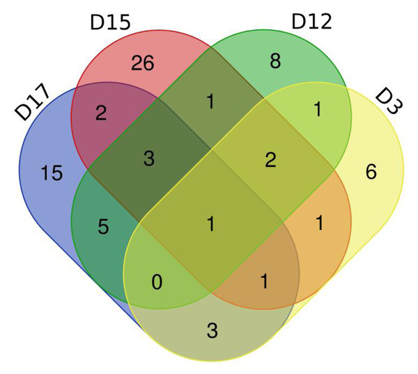 Venn diagram of common differential proteins in six rats in the experimental group on different days.