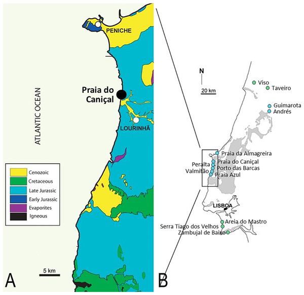 Pterosaur localities of Portugal.