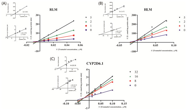 Primary Lineweaver–Burk plot, the secondary plot for Ki and the secondary plot for αKi in the inhibition of the metabolism of tramadol by various concentrations of apatinib in (A) RLM, (B) HLM and (C) CYP2D6.1.