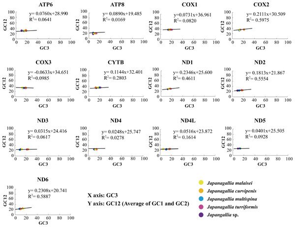 Neutrality plot analysis of 13 mitochondrial protein-coding genes in five Japanagallia species.