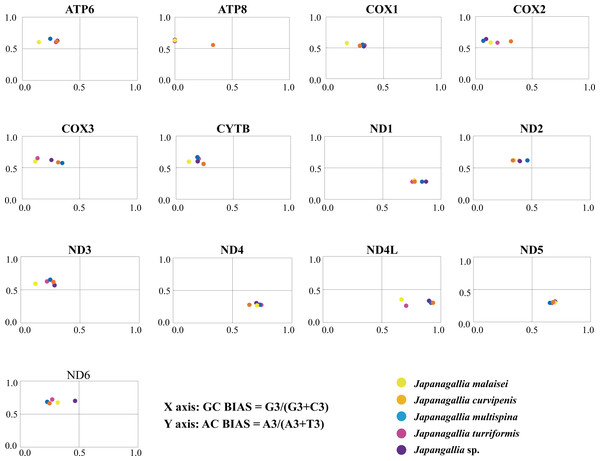 Parity plot analysis of 13 mitochondrial protein-coding genes in five Japanagallia species.