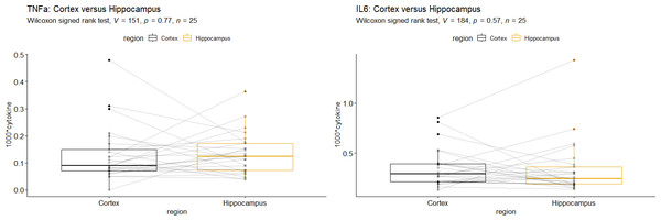 Comparison of Hippocampus vs. Cortex for (A) Interleukin-6 mRNA and (B) tumor necrosis factor alpha mRNA.