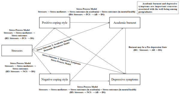 Hypothesized mediating roles of coping styles and academic burnout between stressors and depressive symptoms.
