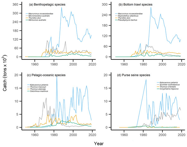 Catch trends for most abundant bottom-associated and pelagic-associated species.