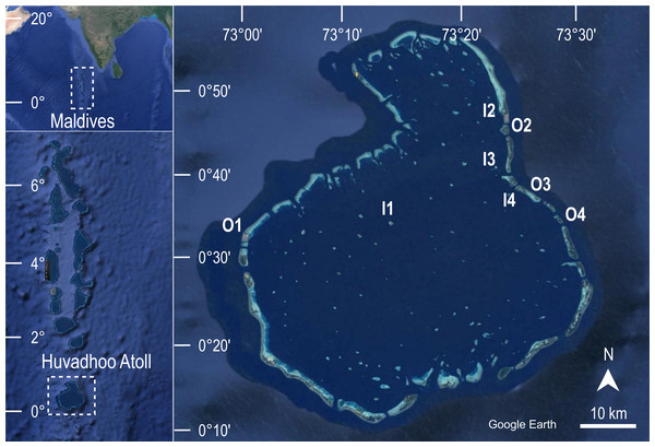 Patterns of change in coral reef communities of a remote Maldivian ...