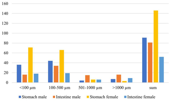 Size of anthropogenic debris in female and male giant freshwater prawns.