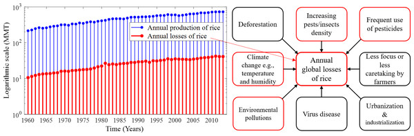 Annual production and losses of rice from 1960–2013 and the most common factors responsible for the rapid increase in annual global losses of rice over the years.