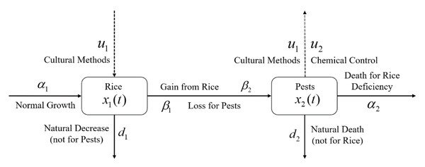 Schematic diagram of the rice-pest-control system Eq. (7) describes the rice-pest system (S4) under control.