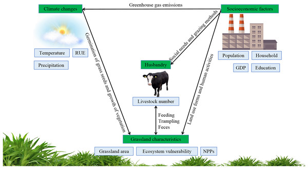 Impacts of climate changes and socioeconomic factors on grassland degradation.
