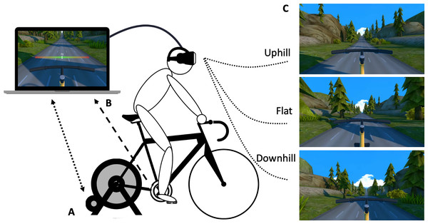 Customised virtual reality bike and experimental conditions.