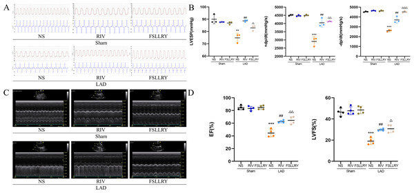 RIV and FSLLRY improved cardiac function and hemodynamics in MI Rats.