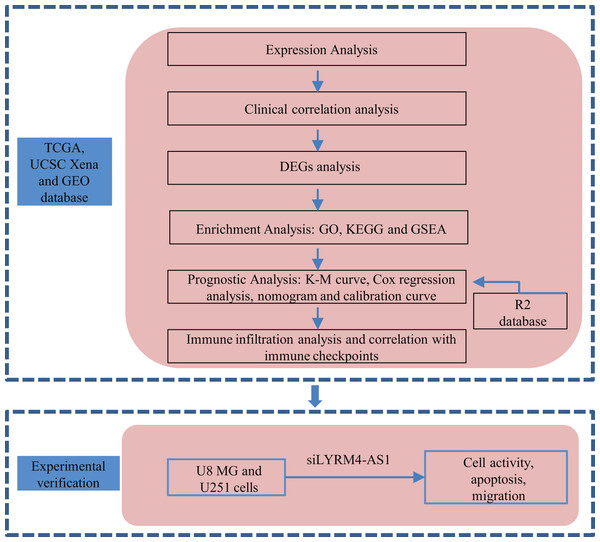 Research flow of this study.