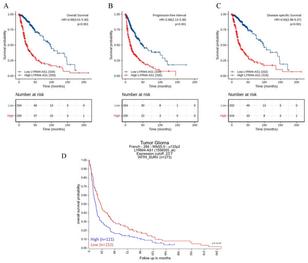 Prognostic analysis of high LYRM4-AS1 expression in glioma patients.