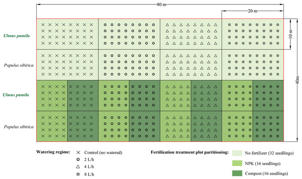 Experimental design of the present study.