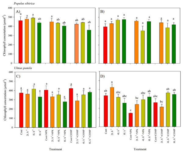 Chlorophyll concentration of Populus sibirica and Ulmus pumila in different treatments measured in (A) July, 2021, (B) July, 2022, (C) July, 2021, (D) July, 2022.