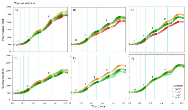 Chlorophyll fluorescence OJIP kinetic curves of Populus sibirca in different treatments measured (A) only water treatments (B) water+NPK treatments (C) water+COMP treatments in July, 2021 and (D) only water treatments (E) water+NPK treatments (F) water+COMP in July, 2022.