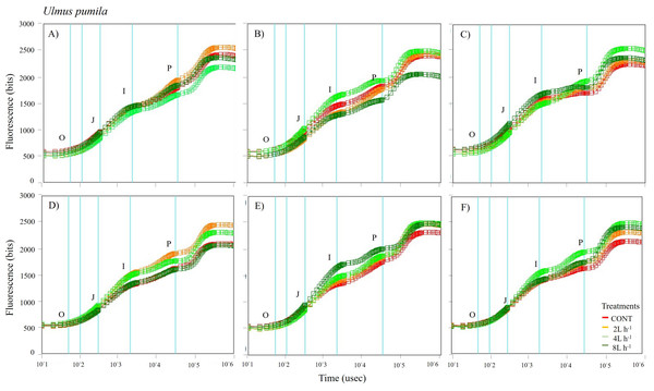 Chlorophyll fluorescence OJIP kinetic curves of Ulmus pumila in different treatments measured (A) only water treatments (B) water+NPK treatments (C) water+COMP treatments in July, 2021 and (D) only water treatments (E) water+NPK treatments (F) water+COMP in July, 2022.