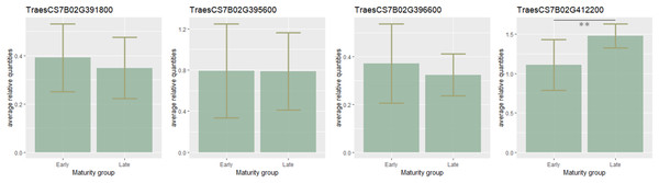 Barplots of candidate-gene relative expressions in early- and late-maturing wheat varieties.