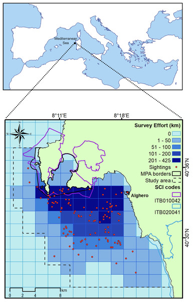 Map of the study area showing the total sampling effort (shades of blue) pooled into grid cells (2 × 2 km). Red points: dolphin sightings between April and September 2022.