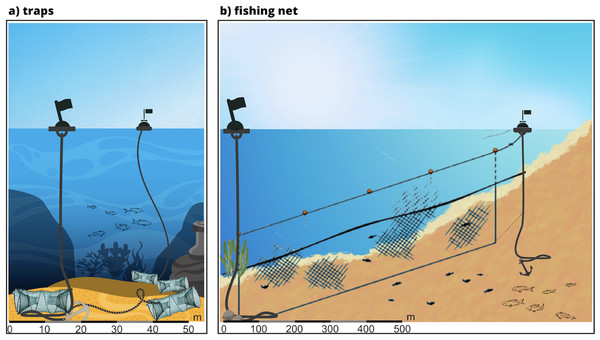 Peculiar and distinctive positions of the fishing buoys used to classify the gear as fishing net or traps.