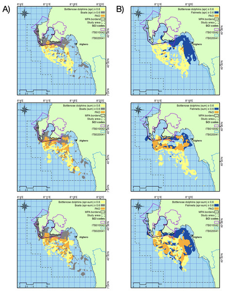 Overlapping between dolphin and boat representative areas (A) and dolphin and fishing net representative areas (B) in the two seasons (spring and summer) and for the whole period (spr-sum).