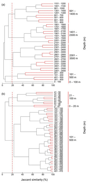 Clustering of all species by depth.